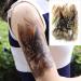 Oottati 6 Sheets Colorful Owl Bubo Arm Fake Temporary Tattoos Stickers - 21x15cm - Buy Online on GoSupps.com