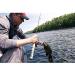 Ugly Stik Elite Spinning Rod 6'6 - Medium Power - 2pc | Durable Fishing Rod - Buy Online on GoSupps.com