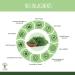 100% Feuille de Moringa Oleifera Bio - Bioptimal - En Poudre - Antioxydant Immunit Anti-Fatigue Cheveux - Vitamine A C E - Origine Kenya - Conditionn en France - Certifi Ecocert - 100 g 100 g (Lot de 1) - Buy Online on GoSupps.com