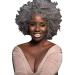 Wig Women Silver Wavy Curly Curly Synthetic 80s 60s 50s 70s Hair