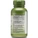 GNC Herbal Plus Green Tea Complex 500mg - 100 Capsules | Metabolism Support - Buy Online on GoSupps.com