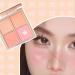 4 Colors Blush Palette Portable Face Blush Palette Saturated Versatile Pressed Makeup Blush Palette for Women - Buy Online on GoSupps.com