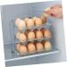 Kitchen Accessories Clear Egg Multi-layer Tray Household Storage Kitchen Container re-usable - Buy Online on GoSupps.com