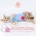 3Pcs Cat Recovery Suit | Abdominal Wound & Skin Disease Care Onesie | Anti-Licking, Large Size, Classic Pattern - Buy Online on GoSupps.com