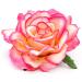 BABEYOND Red Rose Flower Hair Clips - Flamenco Dancer Accessory (6PCS) - Buy Online on GoSupps.com