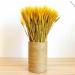 Natural Wheat Decoration Rabbit Tail Grass Wedding Dried Typha Phragmites Dried Flower Real Dry Color Bouquet Flowers White - Buy Online on GoSupps.com