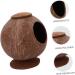 FOMIYES 2pcs Coconut Shell Charcoal Hamster Nest Small The Bed 16X15X15CMx2pcs Brownx2pcs - Buy Online on GoSupps.com