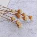 20 Rattan Diffuser Sticks for Essential Oils | Rose Replacement Refills for Home Bedroom Bathroom - Buy Online on GoSupps.com