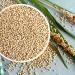 NATURE NATE'S Avocado Oil & Sea Salt Popped Sorghum 5 oz - Healthy Snack Option - Buy Online on GoSupps.com