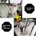 SlowTon Dog Seat Belt 2 Pack Pet Car Seatbelt Headrest Restraint Adjustable Puppy Safety Seat Belt Reflective with Elastic Bungee Connect with Dog Harness in Vehicle for Travel Daily Use Black Headrest Restraint - Buy Online on GoSupps.com