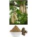 CROW G M Pharmacy Balam Kheera Powder (Kigelia africana) - Pack of 2 (100g Each) - Buy Online on GoSupps.com