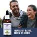 New Roots Herbal Wild Oregano C93 (50 ml) Liquid - High Carvacrol Concentration for Immune Defense | Mediterranean Source - Alcohol Free, Organic, Non-GMO, Vegan, Gluten Free - 1.7 Fl Oz - Buy Online on GoSupps.com