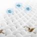lmoikesz 2pack Stain Remover Wet Wipes For Laundry Wide Range Of Uses Any Stain Clothing Stain Removing Wipes Fabric Premium - Buy Online on GoSupps.com
