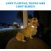 Pet GPS Tracker | Waterproof GPS Dog Tracker - Mini Wireless Waterproof GPS Dog Tracker No Monthly Fee App Locator Works with Any Collar - Buy Online on GoSupps.com