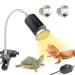 Naneezoo turtles heat lamp - reptile terrarium lamp 25w reptile heating lamp UV heat spot lamp with clip E27 heat radiator aquarium animals - for turtle lizard spider chlange 3 pieces (1 Pack)