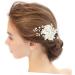 Angoily Tiara Bridal Hair Comb Wedding Hair Comb Decor Hair Comb Crystal Hair Comb Flower Head Pearl Bride - Buy Online on GoSupps.com