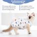 TIESOME Cat Surgical Recovery Suit Breathable Kitten After Surgery Wear Pet Shirt for Abdominal Wounds Home Outdoor Pets Clothing Football (Medium) - Buy Online on GoSupps.com