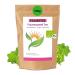Jumps of Frauenmantele 500g I Bio Frauen-Tee I I Gently dried I natural product from women's mantle herb i free from additives & aroma fabrics i vegan & gluten-free i premium quality 500 g (1 Pack) women's coats bio