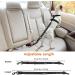 Eyein 2-in-1 Dog Seat Belt | Car Harness & Safety Belt for Pets | Adjustable Reflective Nylon with Anti-Shock Bungee | Vehicle Strap with Latch Bar & Buckle | Black | 1pc - Buy Online on GoSupps.com