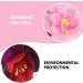 Minkissy Day Of The Dead Headband Rose Flower Crown Rose Mexican Flower Headband Headpiece for Costume Halloween Party Pink - Buy Online on GoSupps.com