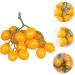 OUNONA Simulated Small Tomatoes Models Cherry Tomatoes Decor Photography Props Artificial Cherry Tomatoes Model Faux Fruit Decor Realistic Party Decor Foam Fake Fruit Window Yellow 4.00X2.00X2.00CM - Buy Online on GoSupps.com