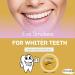 Eva Smokers Tooth Powder - Miswak Flavor | Natural Herbal Halal Tooth Care for Radiant Teeth & Fresh Mouth - 1.41 oz / 40 gm - Buy Online on GoSupps.com