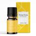 Aakriti Premium Essential Oil (GMP Certified) 100% Natural & Pure 10 ml/ 0.34 Fluid Ounce Each Perfect for Spa Aromatherapy Diffusion Oil Burne (Ylang Ylang) Ylang Ylang 5 ml (1 Pack)
