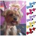NA NA 20Pcs Dog Hair Bows Hair Clips Bow Pattern Hair Clips Set Pet Dog Cat Hairpin Pet Grooming Products Puppy Grooming Hair Accessories for Puppies Cats and Other Small Pets (Random Color) - Buy Online on GoSupps.com