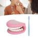 Children's Dental Care Model - Interactive Mouth Doll with 28 Teeth & Toothbrush for Teaching Brushing Skills - Buy Online on GoSupps.com