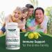 East Park Olive Leaf Extract 500mg Super Strength d-Lenolate | Immune System Booster with 18% Oleuropein | 180 Vegetarian Capsules (Non-GMO) - Buy Online on GoSupps.com