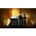 Best hair treatment Serum with Argan Oil 100 ml Professional Hair care gorgeous - Buy Online on GoSupps.com