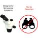 BoliOptics Microscope Eye Guards 34mm Rubber Eye Cups - Foldable (Pair) | SZ05013911 - Buy Online on GoSupps.com