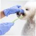 WOONEKY 1pc Pet Single Head Toothbrush Dog Toothpaste Cat Toothbrush Cleaning Kit Manual Plastic Care Brush - Buy Online on GoSupps.com