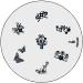 Premium KONAD Stamping Nail Art Set - 8 Stencils + 1 Stamper/Scraper | International Shipping Available - Buy Online on GoSupps.com