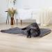 Cozy Brentfords Sherpa Pet Blanket - Charcoal Grey | Warm Kennel Mat for Dogs, Cats, Puppies, and Kittens - Buy Online on GoSupps.com
