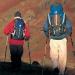 Adult Crutches Adjustable Crutches Easy to Fold and Store Suitable for The Elderly Mountain Climbing Etc Interesting - Buy Online on GoSupps.com