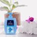 Felce Azzurra Liquid Soap White Musk - Fresh Citrus Fragrance - 2 Pack (300 ml each) - International Shipping Available - Buy Online on GoSupps.com