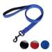 DOKI Reflective Dog Lead Double-Sided Strong Nylon Dog Leash with Padded Handle Durable Training Lead for Small Medium and Large Dogs 1.2m 2.5cm(3.9FT Blue) Basic Blue