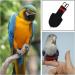 Parrot Diaper Reusable Pet Bow Tie Diapers Parrot Flight Suit for All Kinds of Small Birds and Parakeet - Buy Online on GoSupps.com