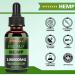 ProtoHemp Natural Oil with MCT Oil | Omega 3-6-9 Fatty Acids, Vitamin C-E | GMO-Free & GMP Certified (60ml-100000mg) - Buy Online on GoSupps.com