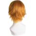 MapofBeauty Men's Short Straight Wig in Golden Orange - Cosplay Costume Wig - Buy Online on GoSupps.com