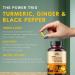 Turmeric Ginger with Black Pepper & Ginger 1000 mg 120 Capsules | Turmeric and Ginger Supplement with 95% Curcuminoids | Extra Strength Supplement| Joint Support Supplement | Non-GMO - 120 Capsules - Buy Online on GoSupps.com