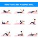 2-Pack Massage Balls for Myofascial & Muscle Relaxation - Fascia & Lacrosse Balls for Yoga & Acupuncture (Blue) - Buy Online on GoSupps.com