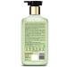 Buy St.Botanica Neem Tea Tree & Basil Anti Acne Body Wash - Paraben & Sulphate Free | Vegan & Cruelty Free - 250ml - Buy Online on GoSupps.com