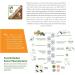 8x Black Tea (Camellia Sinensis) Standardized Extract Powder 0.2-0.4% Caffeine - Buy Online on GoSupps.com