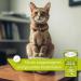 Dirk Drexel Wumox Herbal for Cats | Natural Nutrition & Herbal Extracts | Strengthen Intestinal Health | 3-Month Cure with Real Wormwood - Buy Online on GoSupps.com