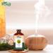 Buy Pure Acorus Calamus Oil | Natural Essential Oil for Skincare Hair Care & Aromatherapy - 118ml | International Shipping Available - Buy Online on GoSupps.com
