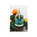 Citrus Antibacterial Pure Castile Soap | Vegan Non-GMO Made in USA | 16 oz Face Hand & Body Wash for All Skin Types - Buy Online on GoSupps.com