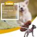 DWE Metal Double Dog Leash 2 Way No Tangle Coupler for Twin Large, Medium, Small Dogs | 4.0mm*70cm - Buy Online on GoSupps.com