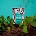CanDo Keto Krisp - Chocolate Mint Keto Bars (12 Pack) | Low-Carb & Low-Sugar High Protein Snack | Gluten-Free & Delicious Meal Replacement - Buy Online on GoSupps.com